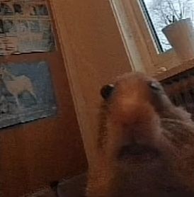 ‍ ‍ ‍ ‍ ‍ ‍ ‍ ‍ ‍ ‍𝓸ceanic 𝓸peretta. ‍ˎˊ˗ ‍ ‍ ‍ tweet media