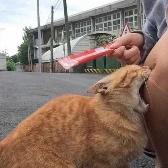 buggy (Slow) Ft.เมียพี่กานต์HKL tweet media