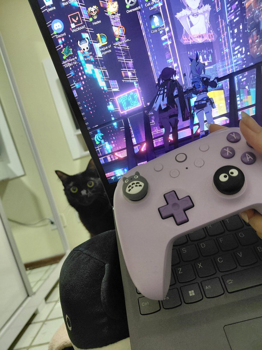 rato fudido tweet media