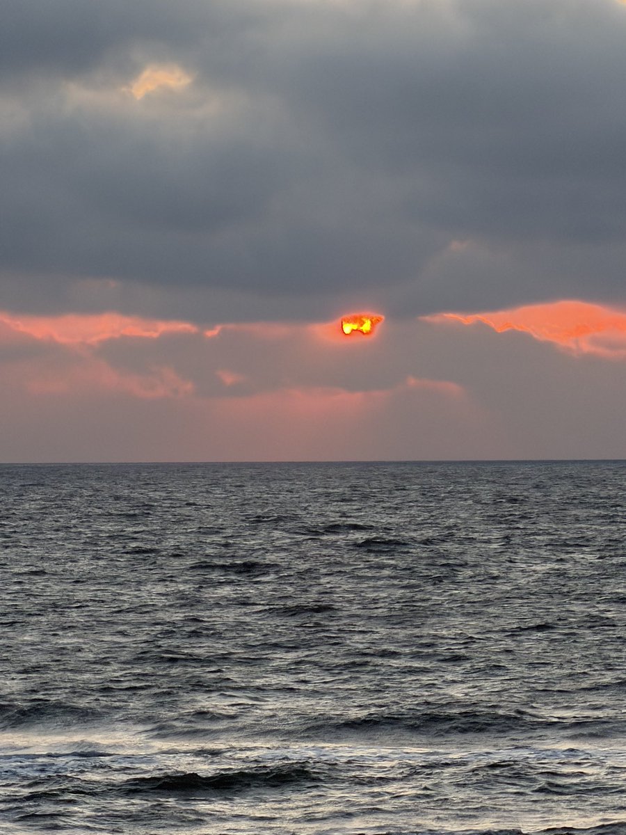 SeaWindowCraster tweet media