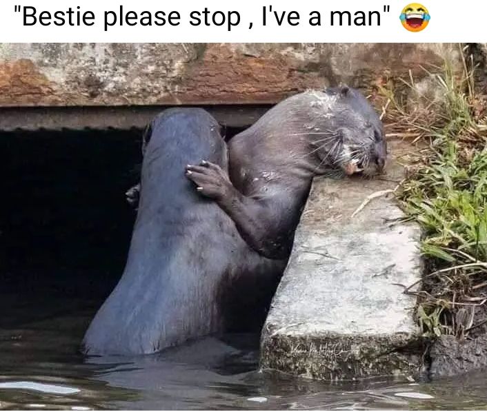 xtremer254's tweet photo. I know you sinners🤣🤣 https://t.co/E8pzHkpI7C