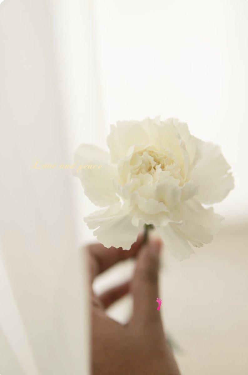 Nietzondermij's tweet image. 🐻💐🐻

Sometimes you just need to
hear how much you mean
(?)
#TrustGod #Blessed #Gratitude