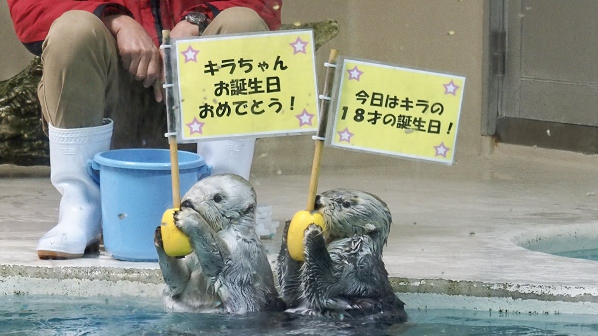 ななみ tweet media