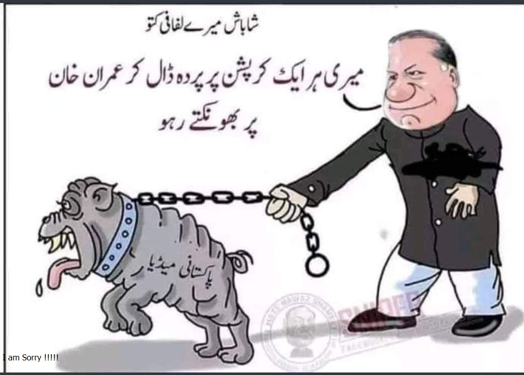 Muhammad_Azam8's tweet photo. @realrazidada https://t.co/PjmbpKuliS