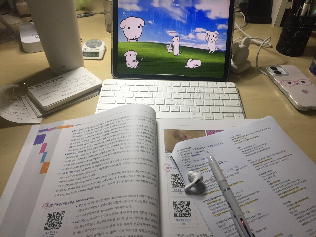 우니 tweet media