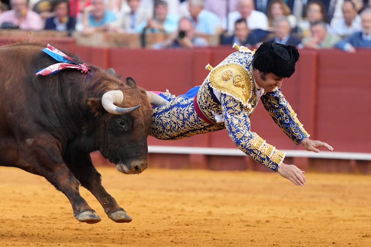 GenCar5's tweet image. Torero grave a Siviglia. Per una volta le cronache riportano anche il nome dell'aggredito, che si chiamava #Clandestino e pesava 512kg. Quanti tori ancora dovranno morire per abolire questa barbarie?