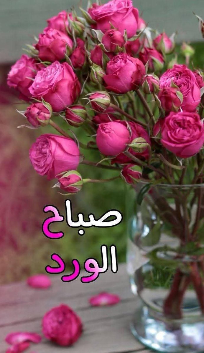 ✨️الربيع ليس فصلاً بل هو حالة حب.🌹🫶🌷

صباح الورود 💐
#صباح_الخير_والسعادة
#صباح_الأشياء_المُشرقة
#صباح_آلخيــــر 
#حياة_الفهد 
#هلاو
#الاهلي_فيسيل_كوبى 
#حبيت_أقول