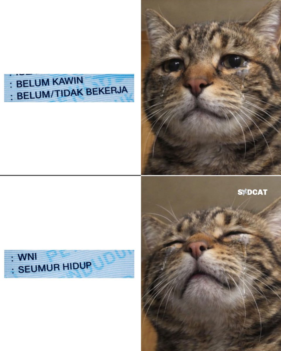 amatigeni🎃🎃🎃 tweet media