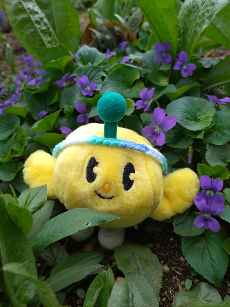 FromKibitan's tweet image. お散歩中に、すみれを見つけたよ！
#福島県　#Fukushima #Japan #キビタン  #福島県公式キャラクター　#キビさんぽ　#すみれ
