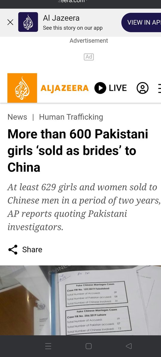 SHUBFORREAL tweet media