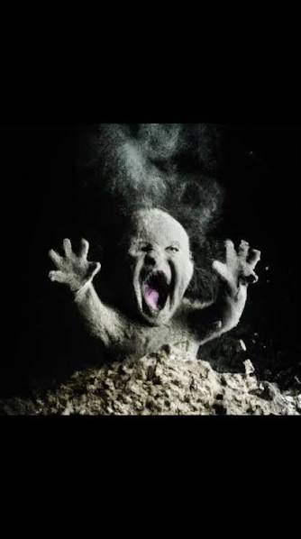 료아 🟥 🐈🟦 🔫 tweet media