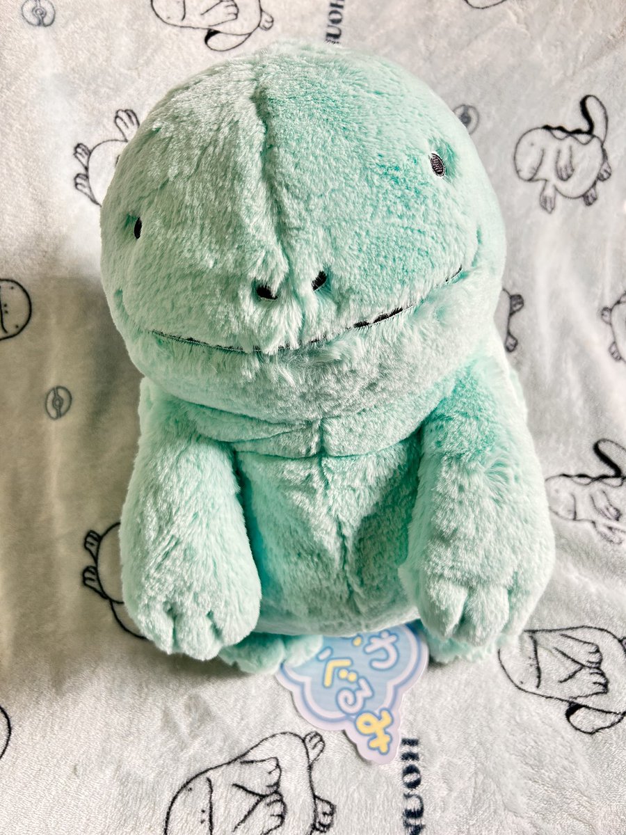 あさみとごあたちの日常🌈 tweet media