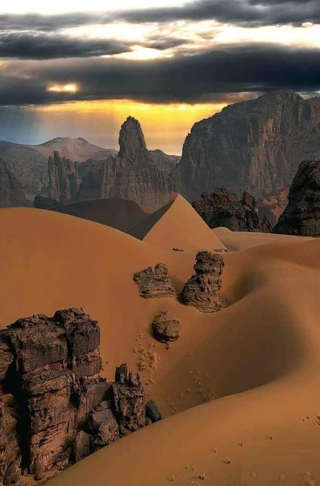 N A T U R E tweet media