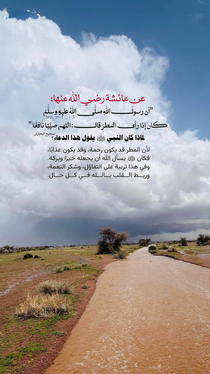 أبوصالح (@obedallah0963) on Twitter photo 