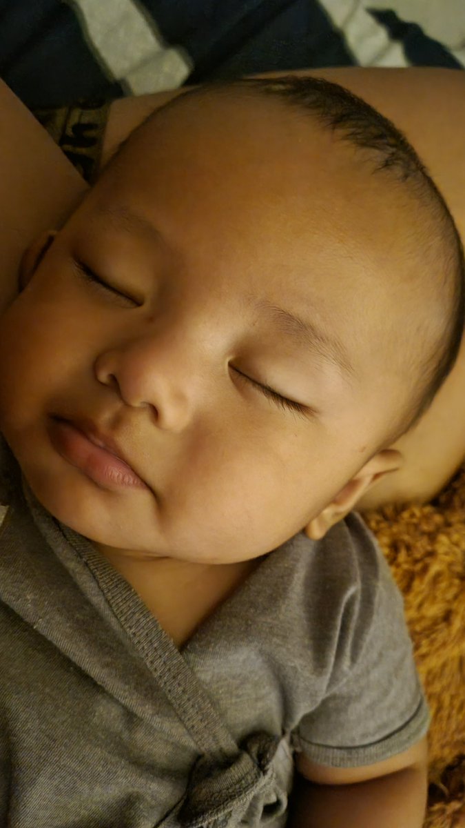 mmswp's tweet photo. @joderagon 4 months old this week, healthy and lovely!

I can't send DM, I don't know why. My DM isn't loading either.. https://t.co/raypwjS3ri