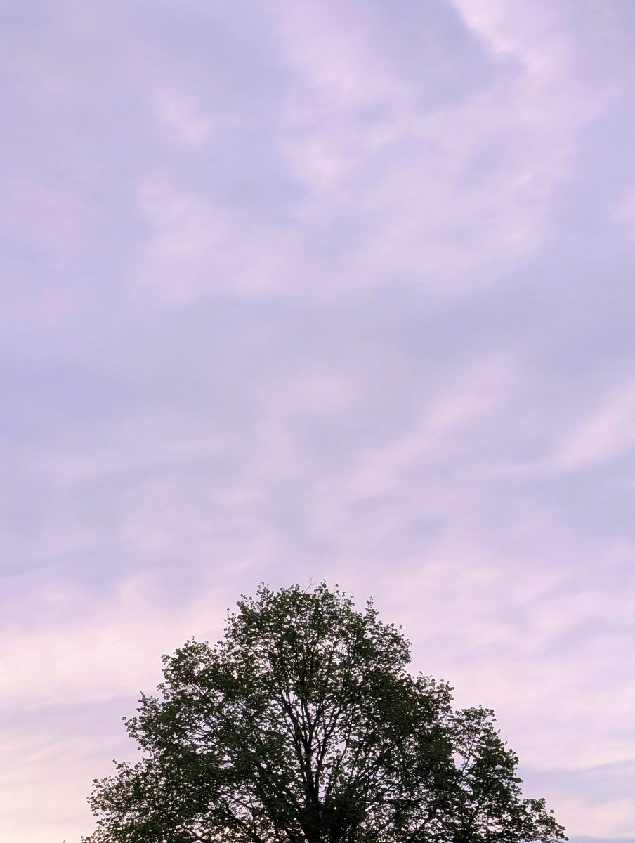 stagerbn's tweet image. Morgenlicht. Bonn. #TeamPixel