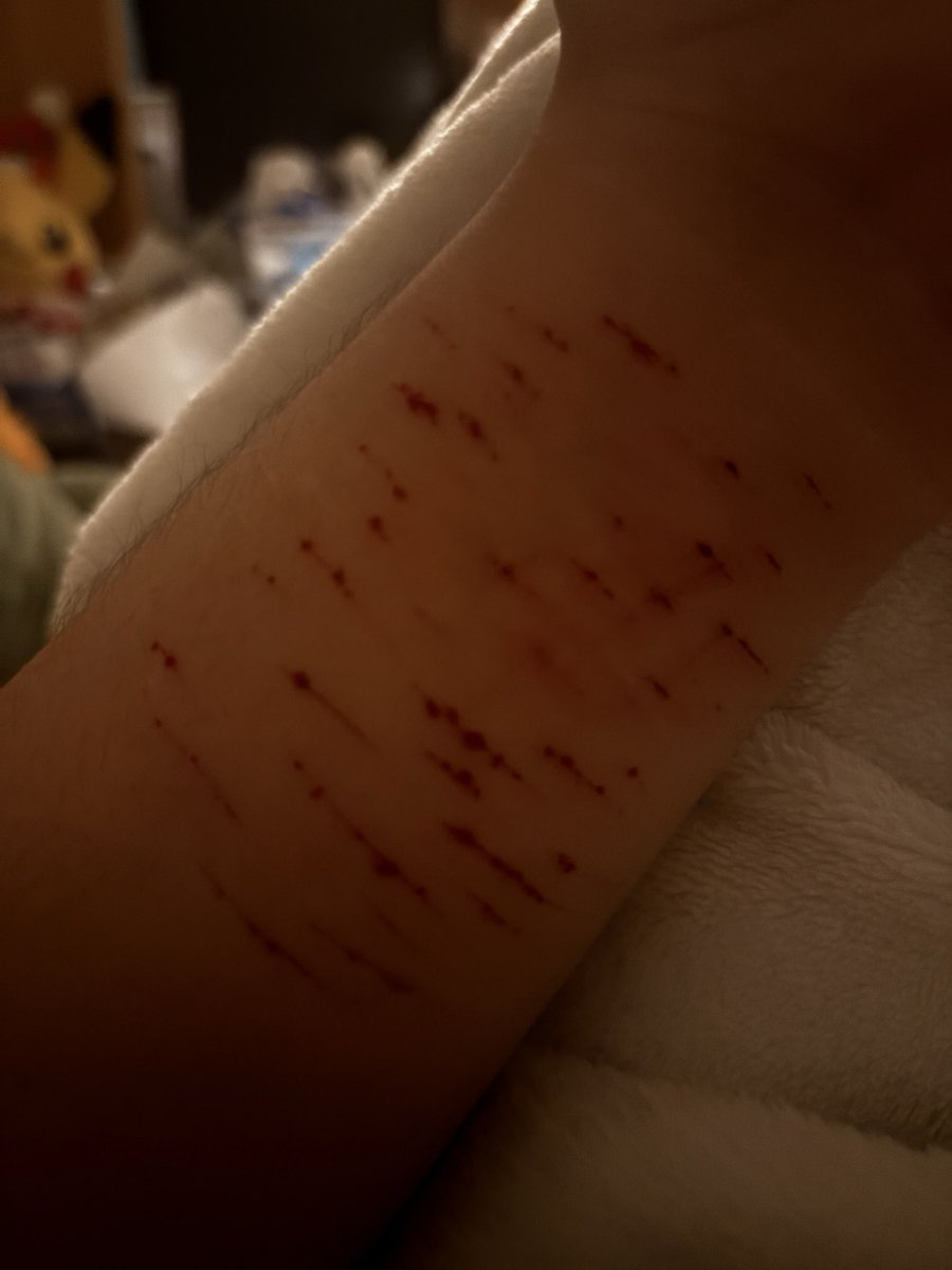 Eve shtwt tweet media