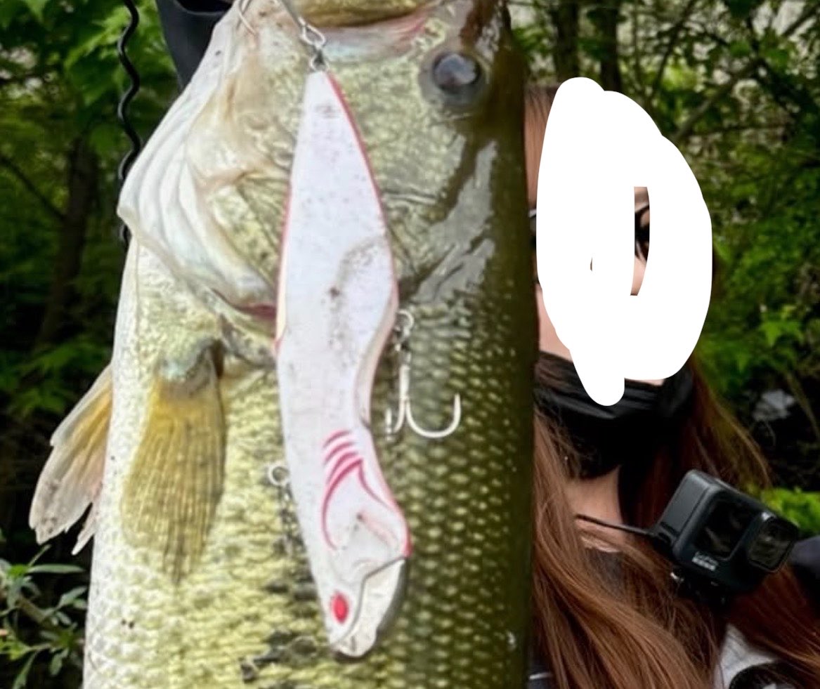 まひろ@釣り垢 tweet media