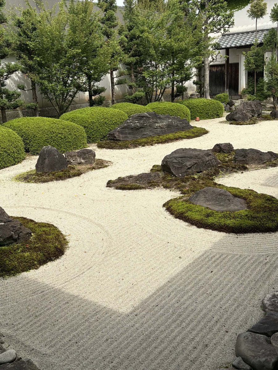 #大本山妙蓮寺
#京都妙蓮寺
#西陣妙蓮寺
#本門法華宗
#本門法華宗大本山妙蓮寺
#daihonzan_myorenji
#花の寺
#御会式桜
#酔芙蓉
#芙蓉
#カンアヤメ
#妙蓮寺椿
#藤棚
#ツツジ
#イチハツ
#金木犀
#長谷川等伯
#本阿弥光悦
#銀木犀
#十六羅漢石庭
#四季の襖絵
#山野草
#サツキ
#彼岸花
#ススキ
#萩