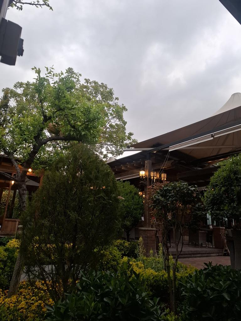 Kasaeizadeh 🇮🇷 سید‌هادی‌کسایی‌زاده tweet media