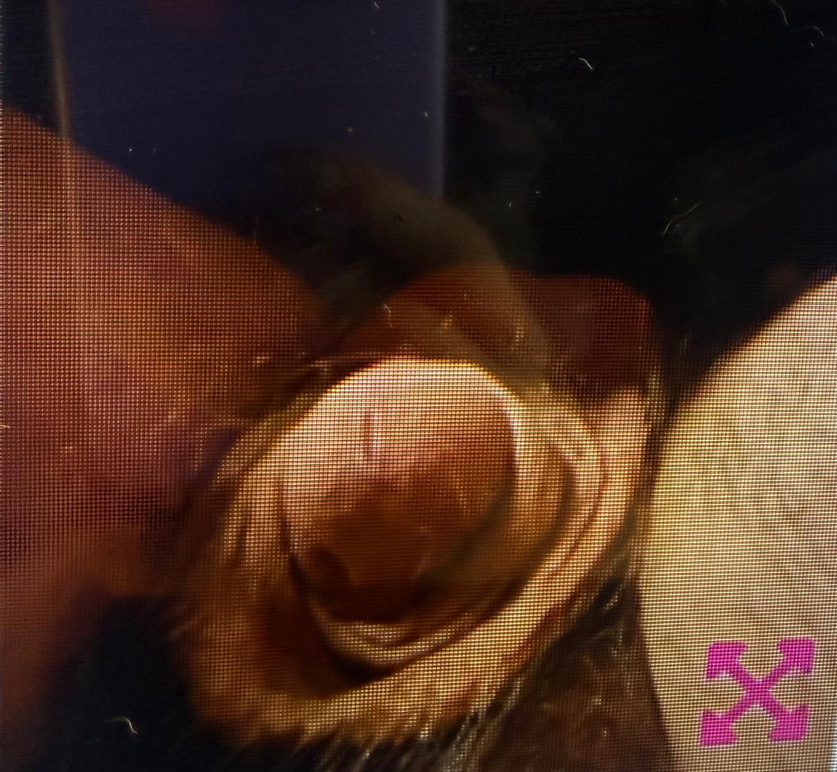 hahahaha look at this insignificant finger, I say cock, although it doesnt deserve to be called that, because my cats cock is bigger than that, how disgusting, it makes me so sad, that insignificant little cock, useless, What do you think about that cock, comment