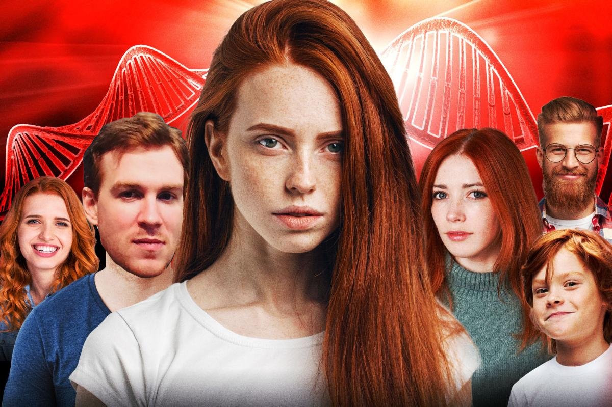 Howling Serf tweet media