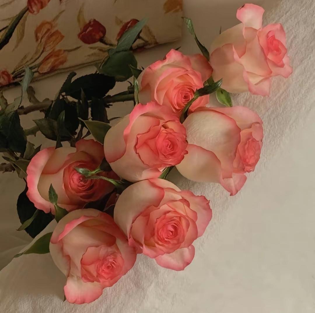 JohnPaul Mbaka tweet media