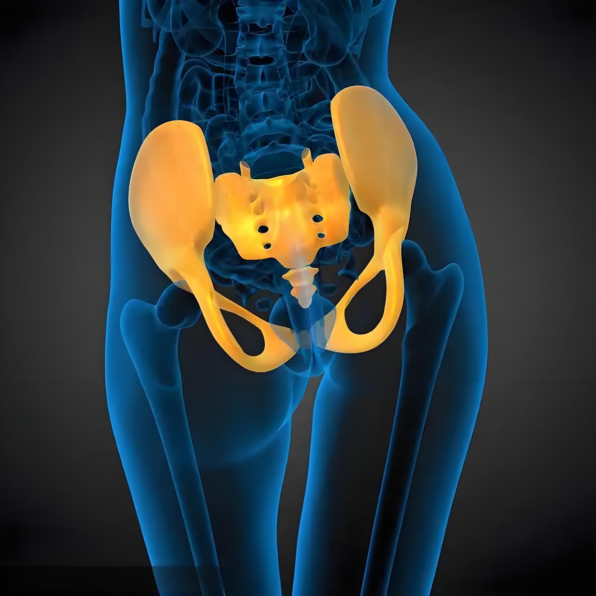 gina lawson tweet media