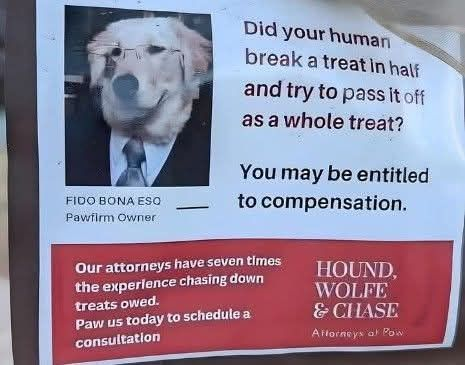 Azgal43026529's tweet image. #Dogs