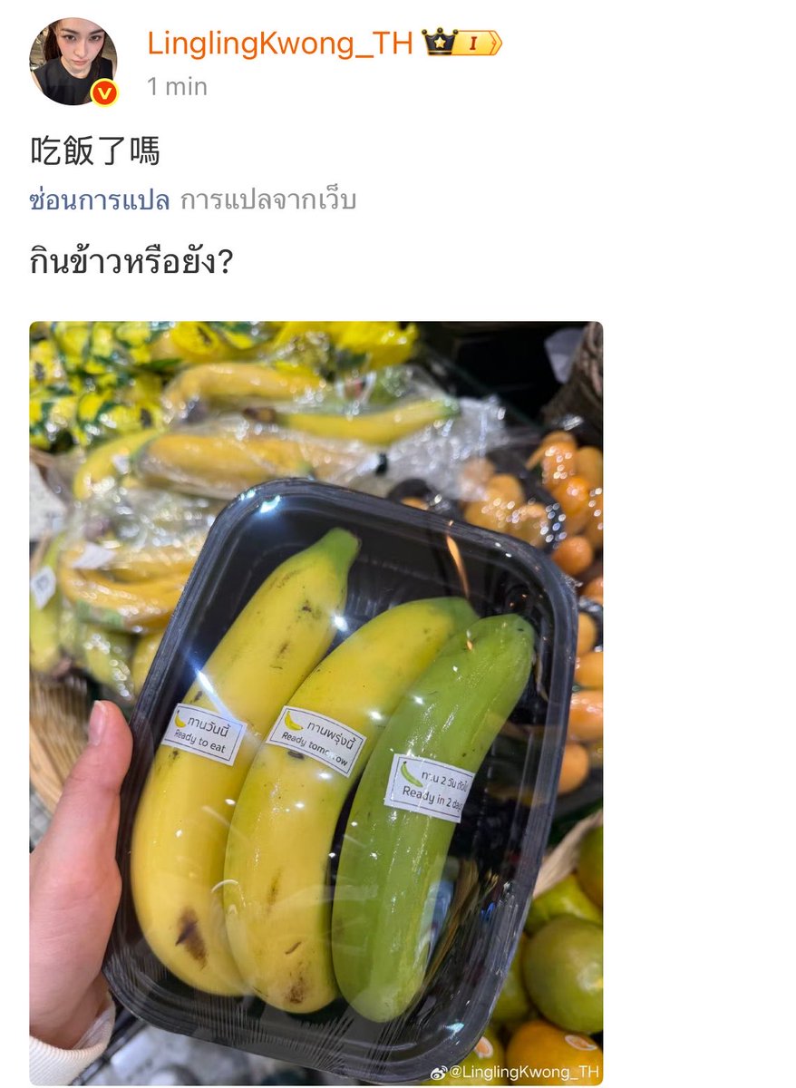 K.Mayazo._.hyemAn🐻‍❄️🐶🐹 tweet media