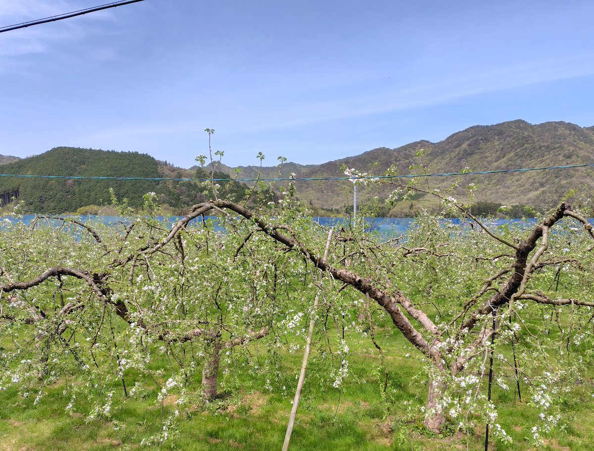 クロ ・頑張ることが大好き！ tweet media