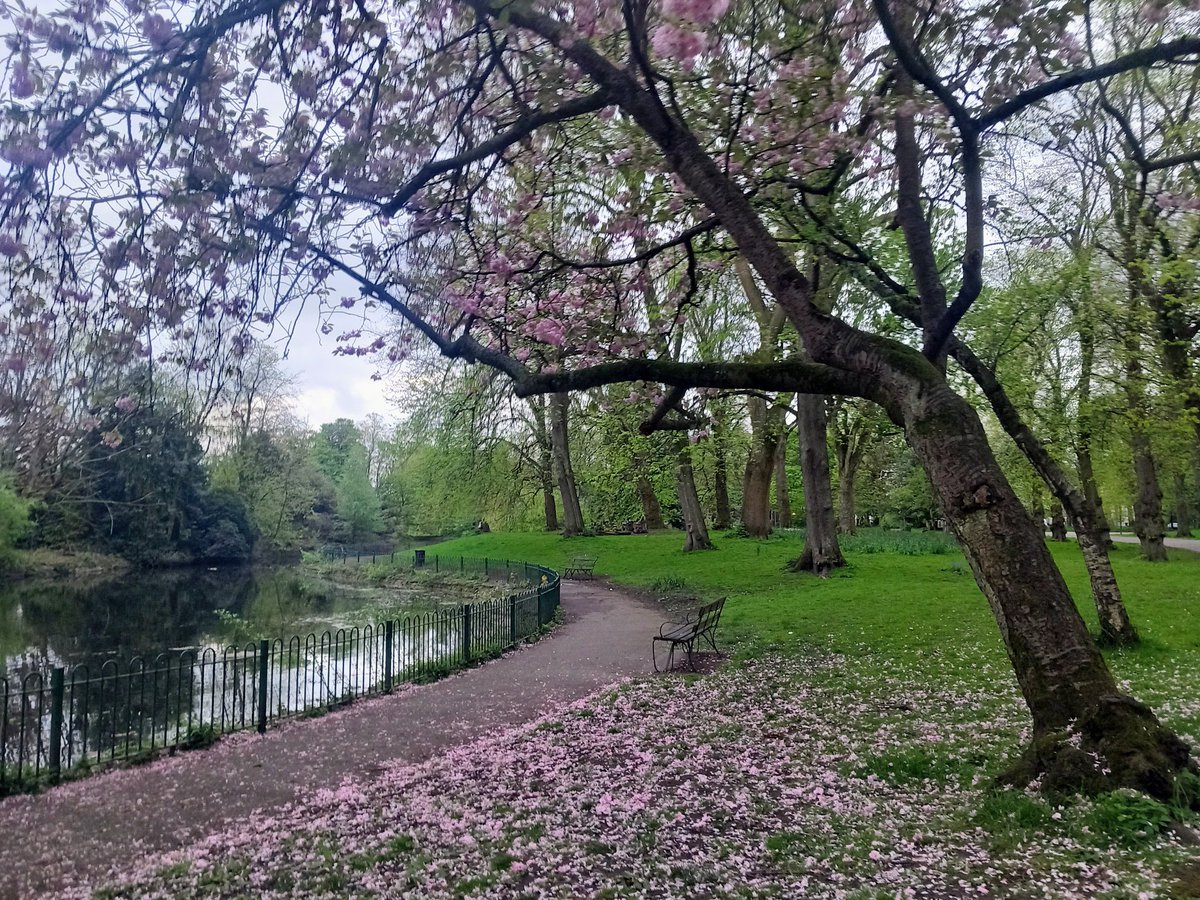 MonicaCrimmins's tweet image. Good morning Tuesday.  Morning walk. Alexandra Park.  Moss Side #Manchester