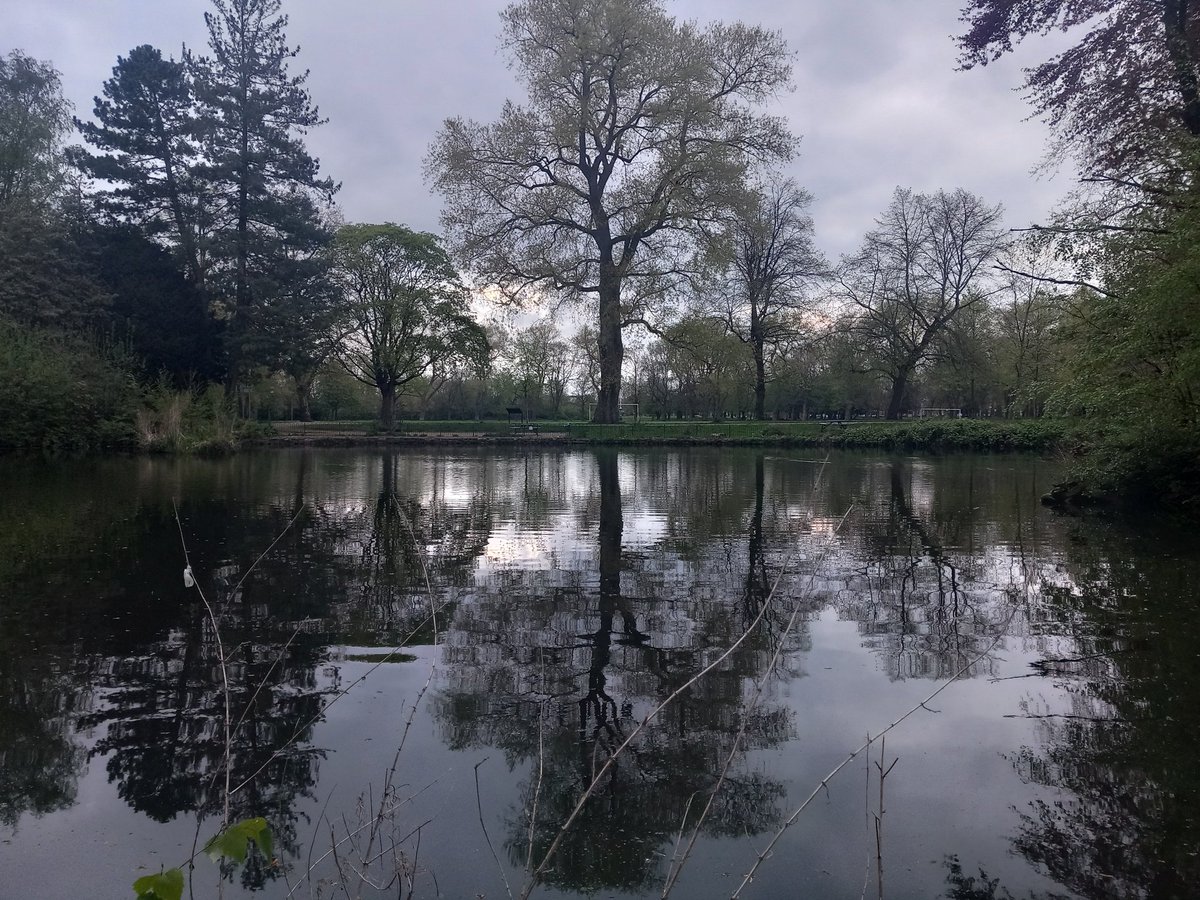 MonicaCrimmins's tweet image. Good morning Tuesday.  Morning walk. Alexandra Park.  Moss Side #Manchester