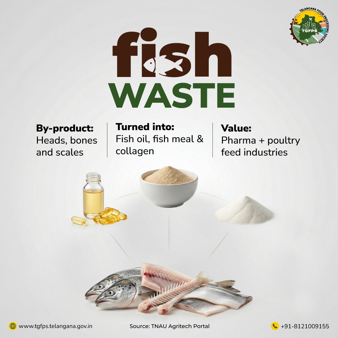 Nothing goes to waste. Everything adds value. 
Fish by-products are powering industries beyond food. 
Explore them! 

#TGFPS #FoodProcessing #FishByProducts #WasteToValue #EcoFriendlyIndustries #MarineResources #GreenIndustry #Pharmaceutical #PoultryFeed