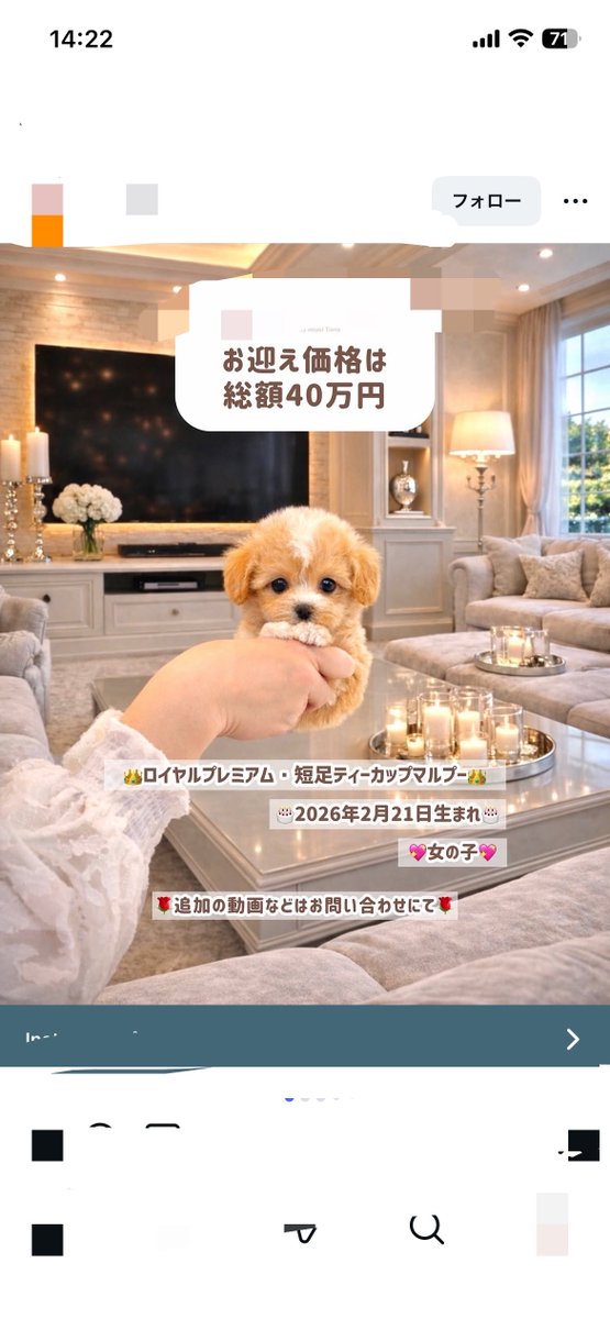 すげ〜〜〜AI加工だ