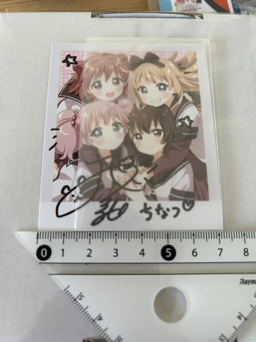 逃げた犬を捕まえると拾得物になる tweet media