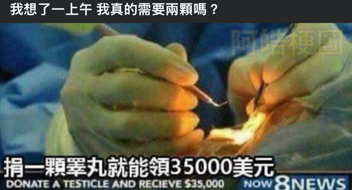 陳少5.0 tweet media