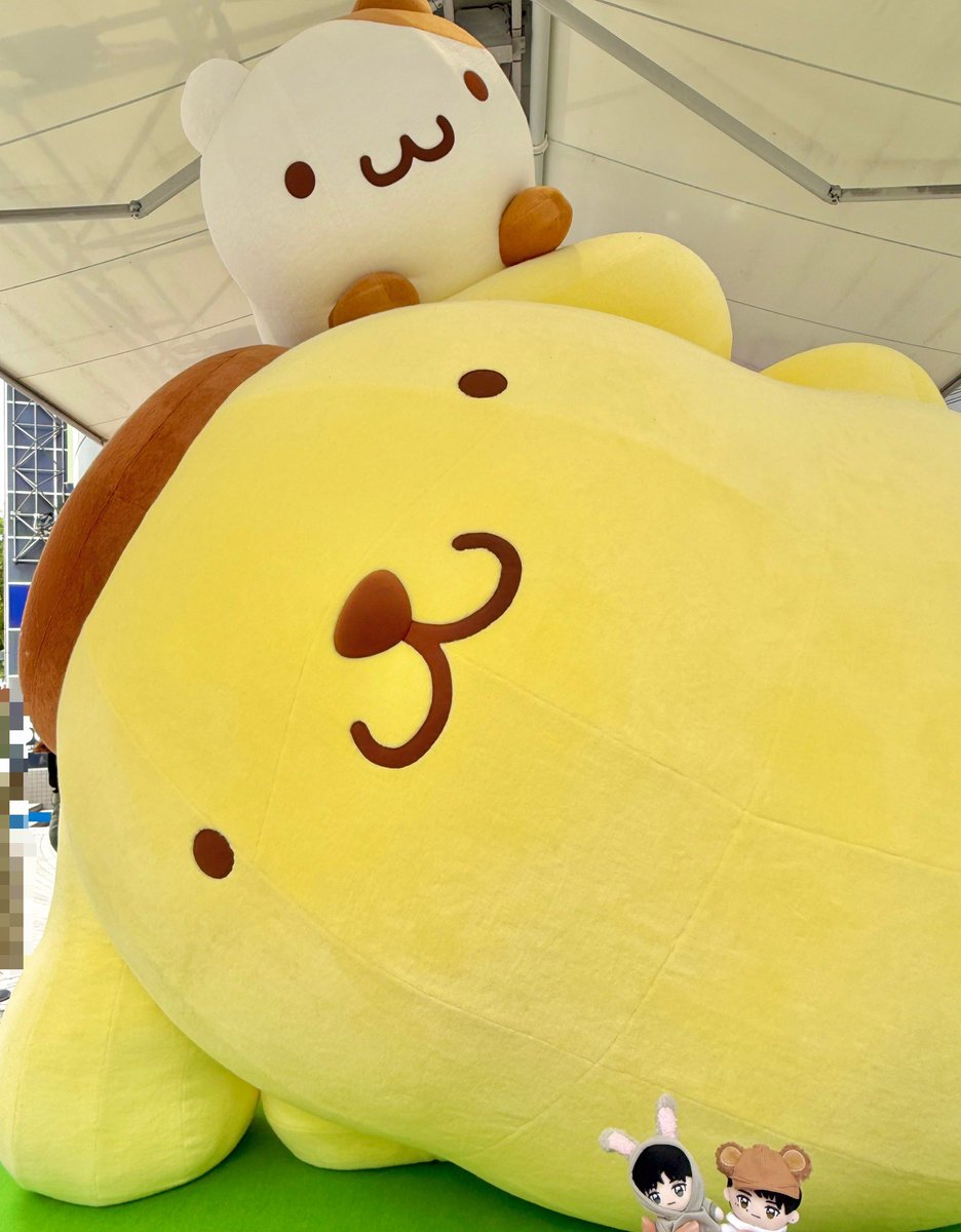 ☺︎ニモ☺︎ tweet media