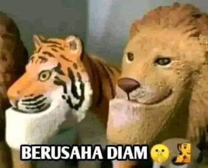 𝕸𝖆𝖗𝖙𝖎𝖓 𝕴𝕻𝕾 3 😝🤚 tweet media