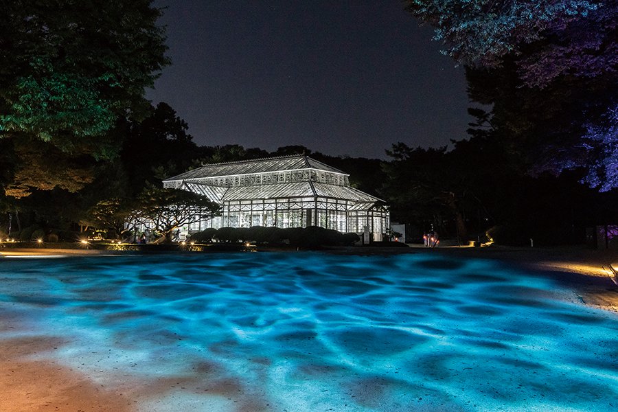 毎年大人気の昌慶宮「水光蓮花」が
今年も開催するよ🌙✨

宮中文化祝典の一環で
宮殿全体が幻想的なメディアアートに🥺💞

春塘池のプロジェクションマッピングや
ライト演出など見どころ満載になっていて
6つのテーマエリアで多彩な景色が楽しめるよ👀

詳細☟
