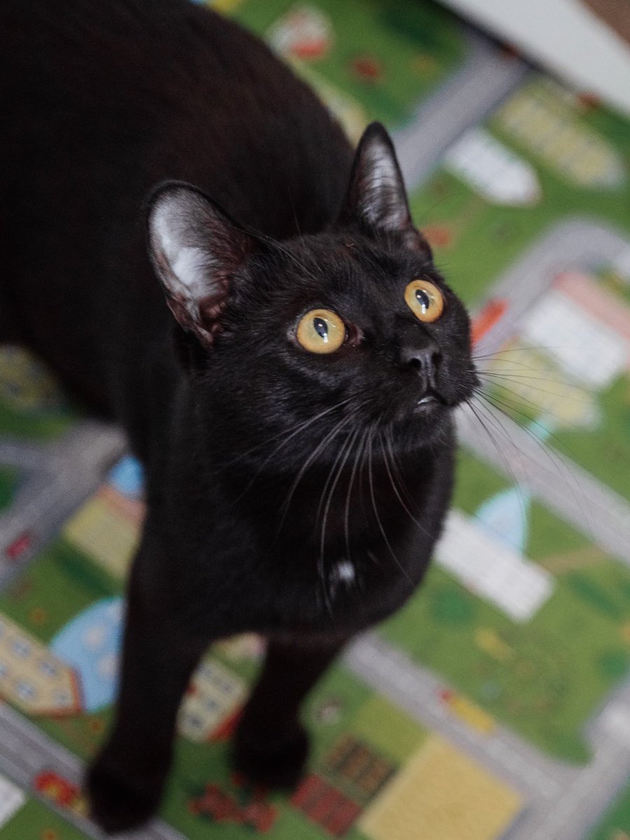 Петро Бінас tweet media