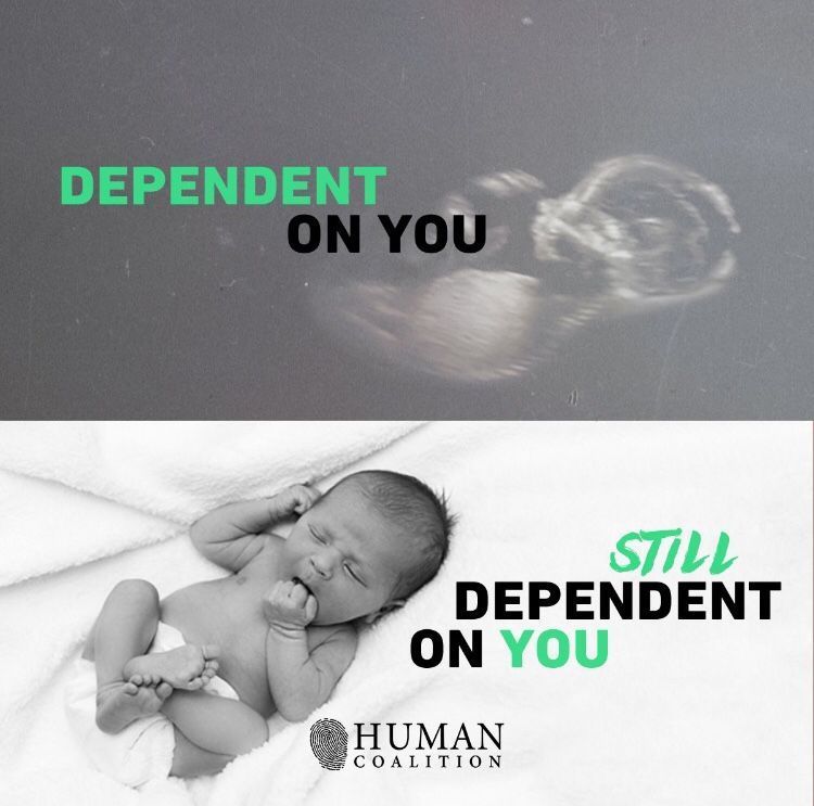 Stop Abortion Now (@lifenewstoo) on Twitter photo 
