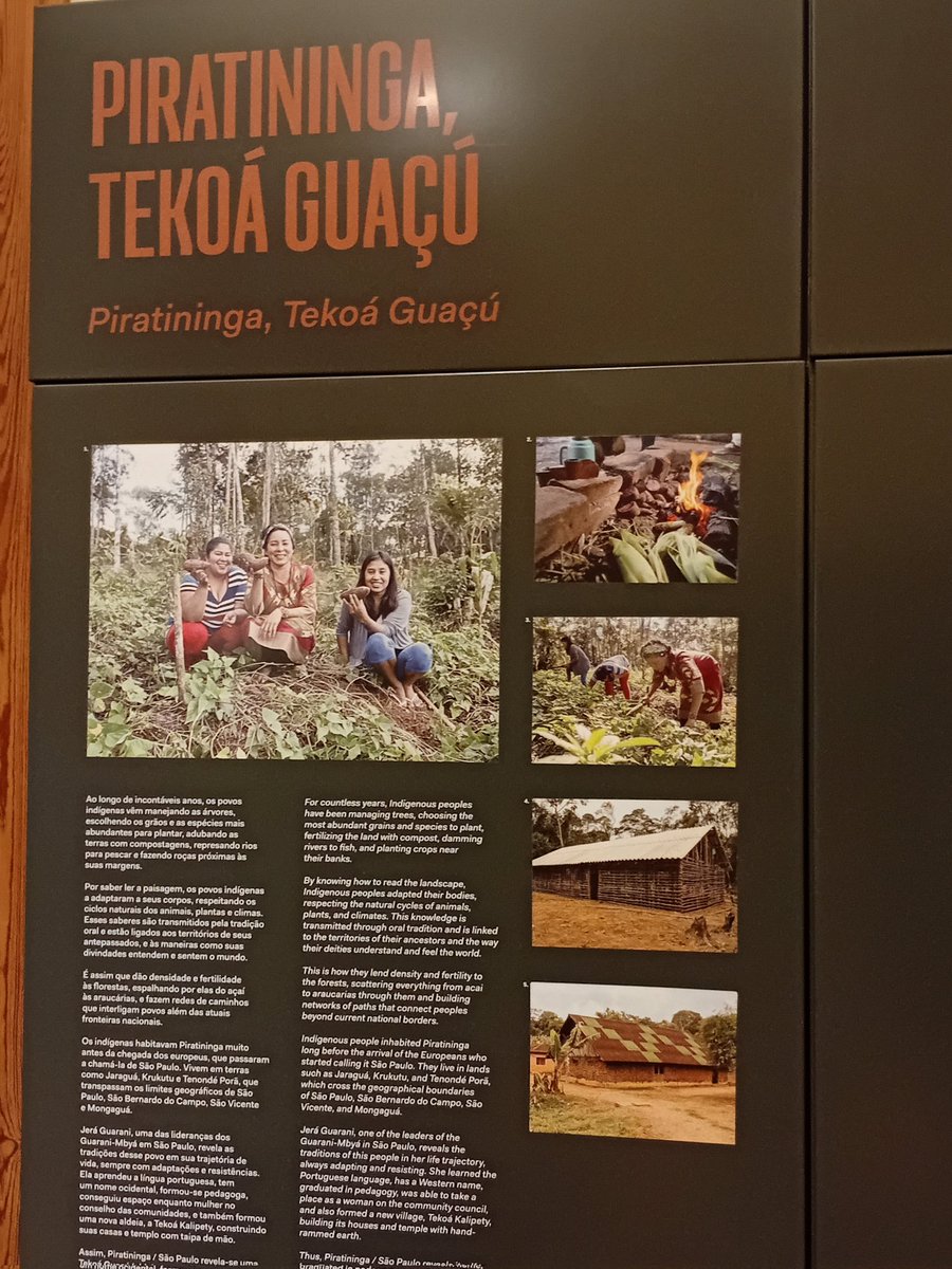 Cheshire tweet media