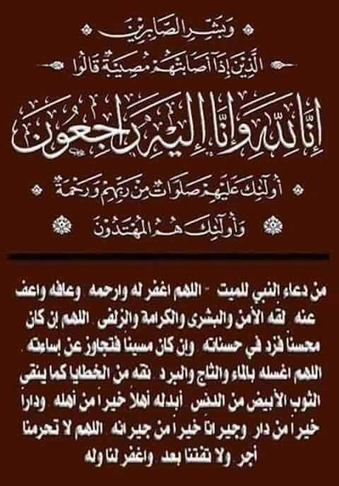 Ⓜ️🅾️h@♏ed s🅰️af@n🤍🤍💚💚🦅🦅🦅♥♥ tweet media