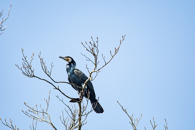 Patti Summers tweet media