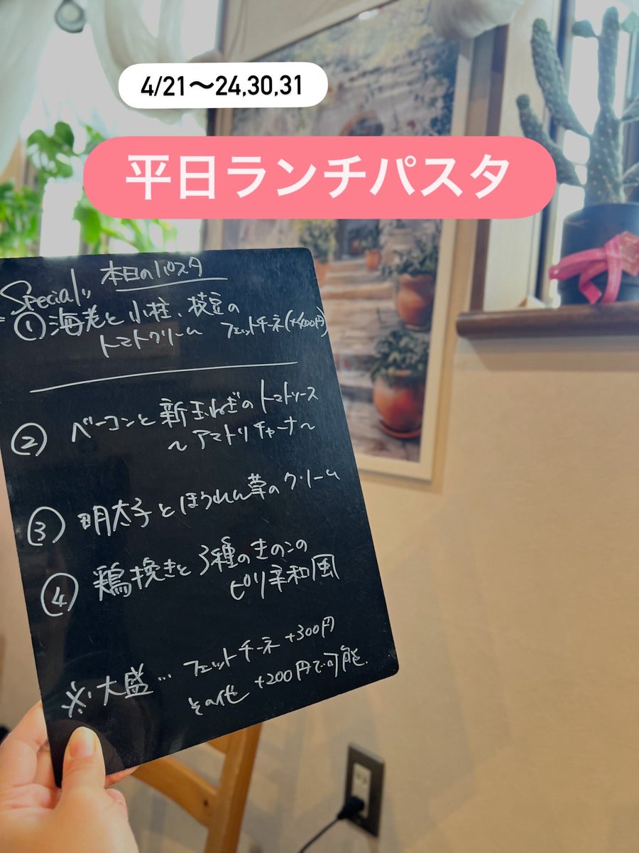 CASA MIA tweet media