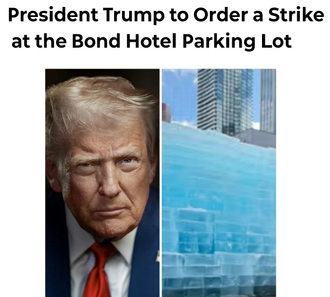 Tony D'carlo tweet media