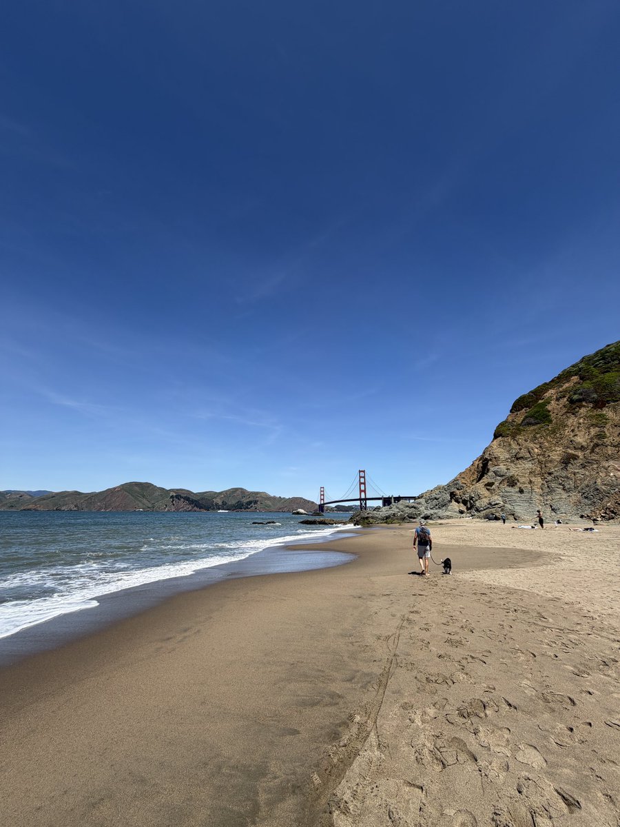 Wes Rapaport tweet media