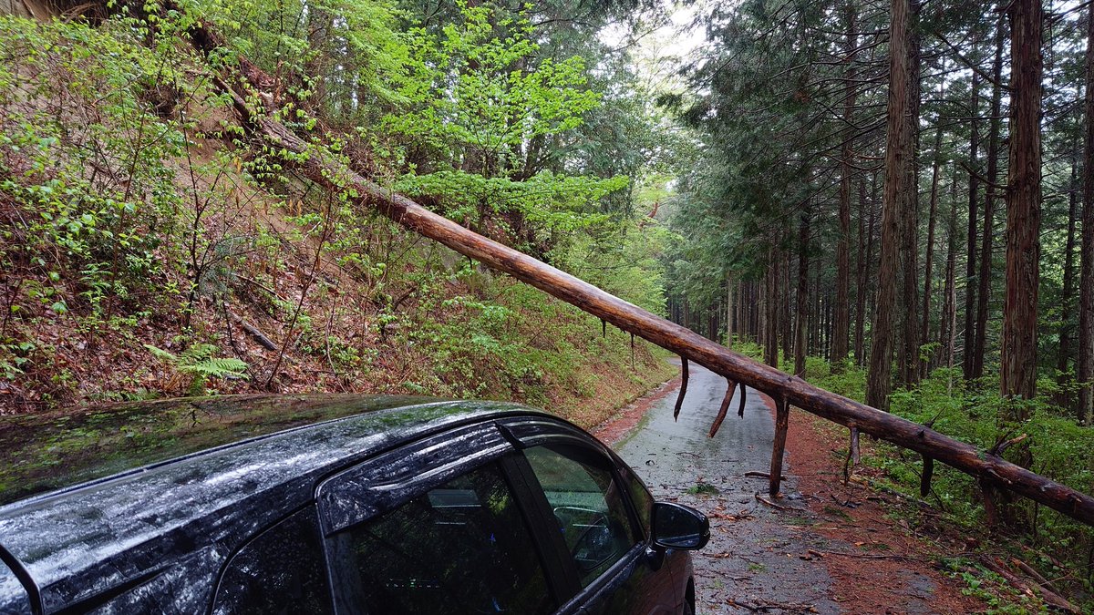 アルプス煙火工業株式会社【公式】 tweet media