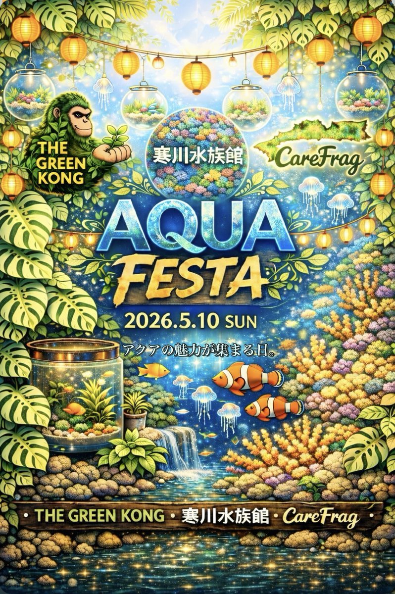 AQUA FESTA／REEF FESTA tweet media